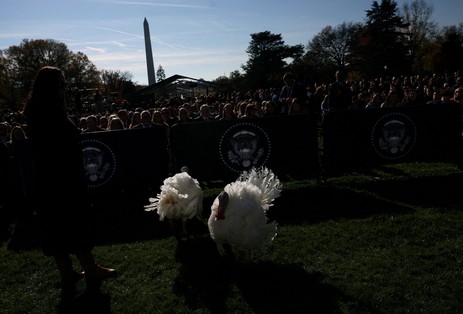 U.S. President Trump pardons the Thanksgiving&nbsp;Turkeys during the annual ceremony at the White House in Washington, U.S.